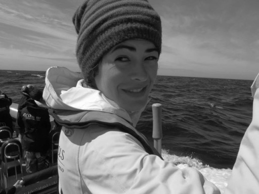 Generic representation of New PhD candidate: Sara Vieira
