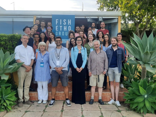 Generic representation of IV Summer Shoal – um retiro científico para repensar o presente e desenhar o futuro do bem-estar dos peixes