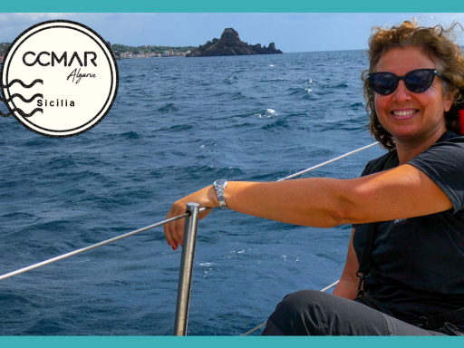 Generic representation of Ana Marçalo took the problem of incidental cetacean fishing to Sicily 