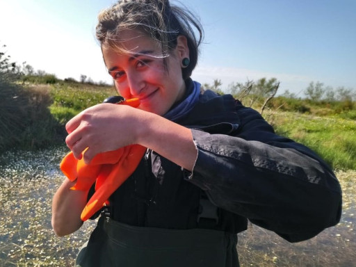 Generic representation of CCMAR PhD student nominated Young Ambassador of the European Marine Board