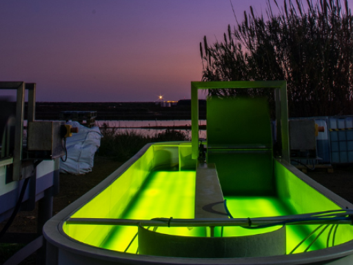 Generic representation of What are the benefits of LED lighting in microalgae cultivation?