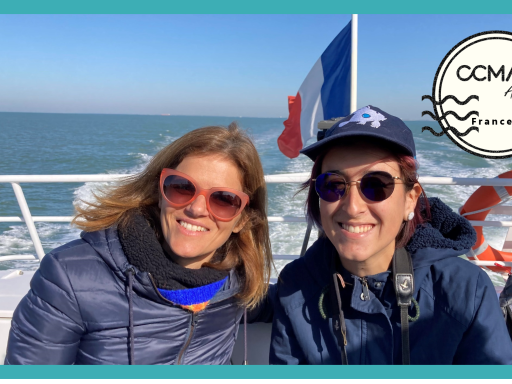 Generic representation of The Portuguese marine protected areas "flew" to France