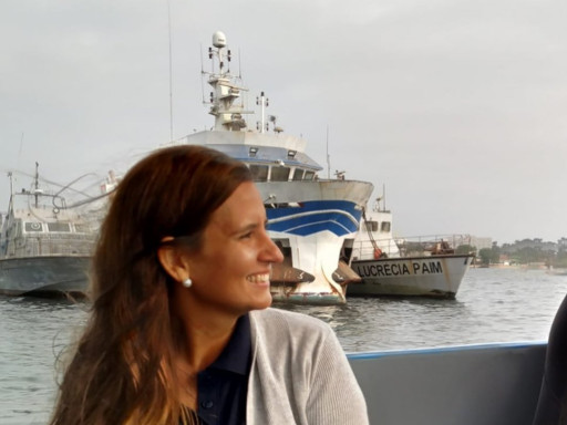 Generic representation of New Position: Vânia Baptista