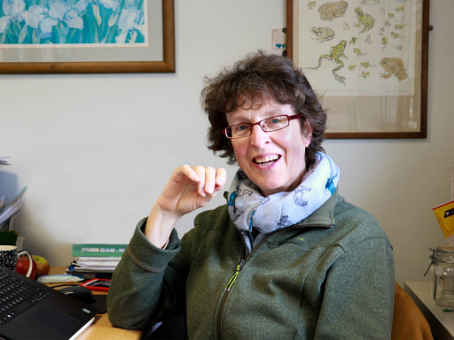 Generic representation of Deborah Power elected member of the Royal Academy of Science and Arts of Barcelona