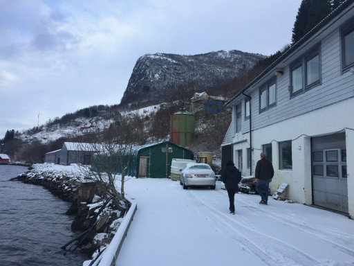 Generic representation of We travelled to Norway to see halibut and fjords! 