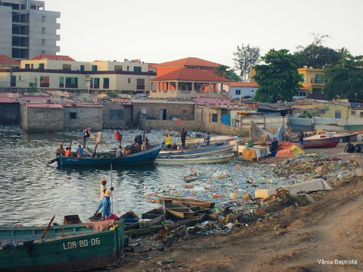 Generic representation of Scientists alert on the impacts of waste