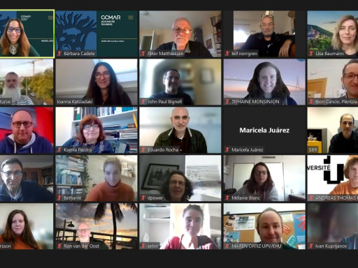 Generic representation of International workshop on the effects of pollutants on the endocrine system of marine animals gathered experts from around the world 