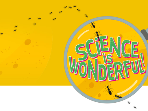 Generic representation of How to turn your smartphone into a 3D microscope?