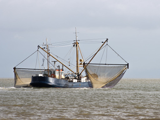Generic representation of More than 290 researchers call for urgent World Trade Organization action on fisheries