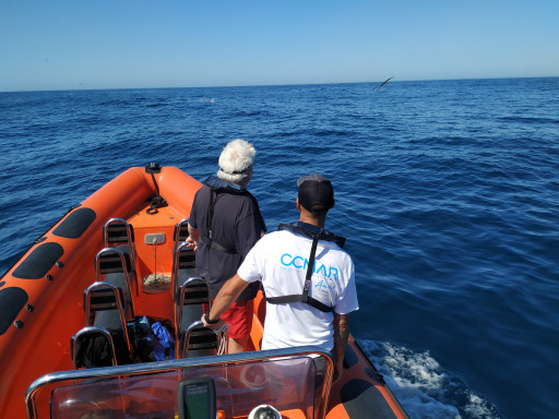 Generic representation of Researchers visit the first component of Cadiz Station after one month of autonomous activity
