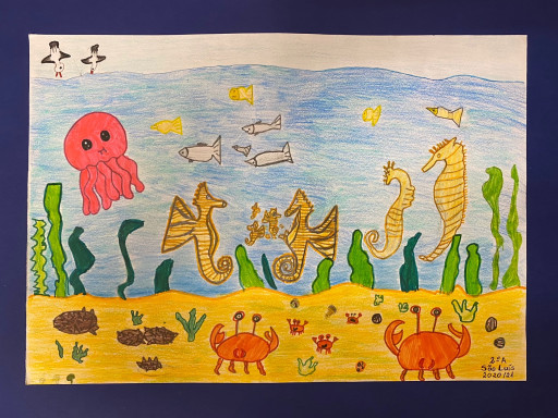 Generic representation of Second-grade students launch new seahorse awareness campaign
