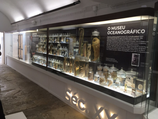 Generic representation of Inauguration of the exhibition and book about the special coast of Arrábida developed by CCMAR