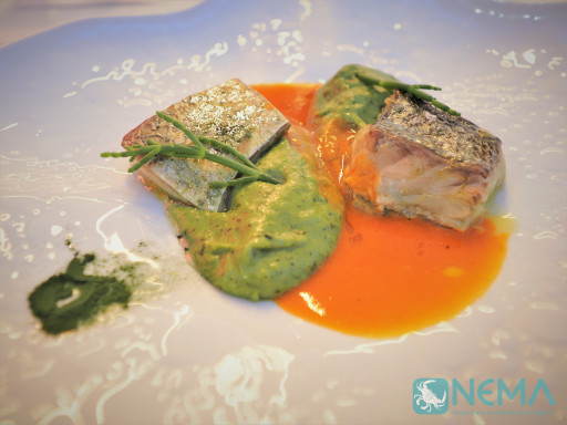 Filete de corvina 'americana' assado com esparregado de plâncton marinho"