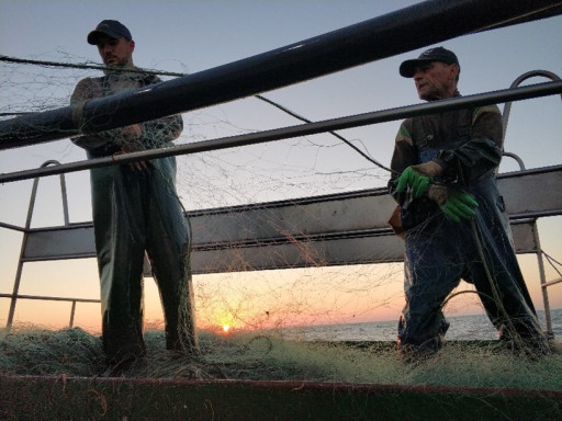 Generic representation of CetAMBIcion project starts the meetings with the fishing sector