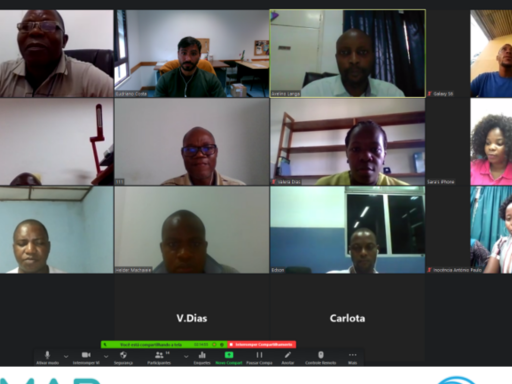 Generic representation of Biofish-QoL project organized a course on Statistics applied to fisheries biology held in Quelimane, Mozambique