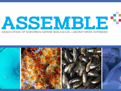 Generic representation of International conference gathers 400 participants to share experiences and opportunities in the field of the sea