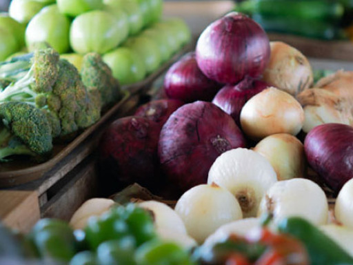 Generic representation of Novo projeto quer inovar o setor agro-alimentar do Mediterrâneo