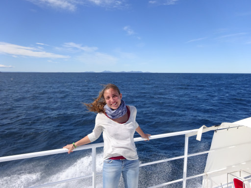 Generic representation of New on Board: Marta Albo