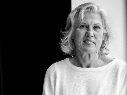 Generic representation of Maria Teresa Dinis receives Medal of Scientific Merit