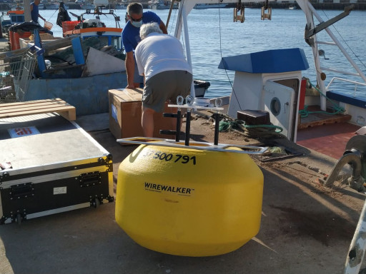 Generic representation of EMSO-PT project completes first tests for the surface profiler