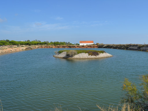 Generic representation of Seagrass meadows improve inflowing water quality in aquaculture ponds