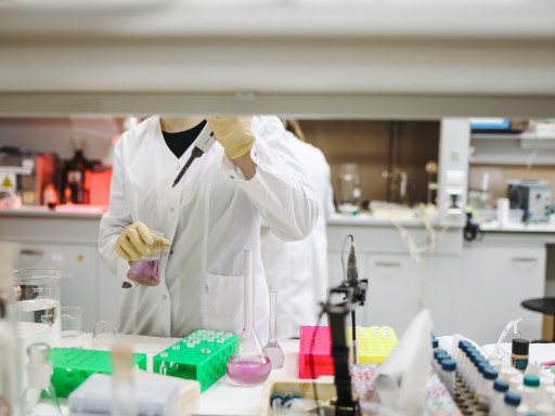 Generic representation of Cientistas e empresários pedem mais investimento ao Governo