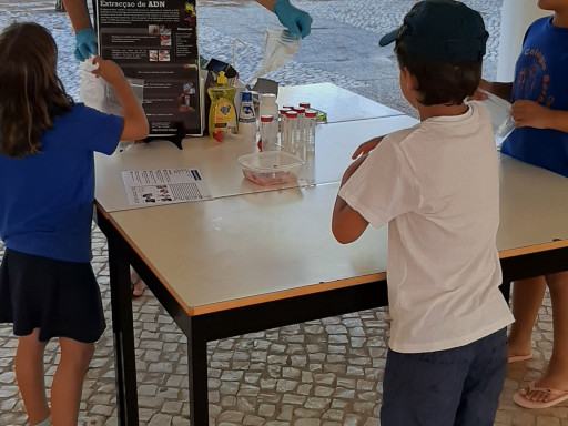 Generic representation of CCMAR retoma visitas de alunos
