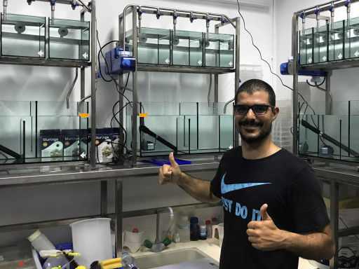 Generic representation of Researchers develop a new housing system to study the effect of microplastics on fish
