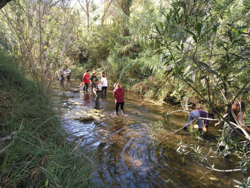 Generic representation of Scientific study involves volunteer citizens in measuring aquatic invertebrates