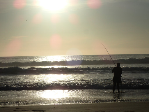 Generic representation of PESCARDATA2: Projeto vai continuar a estudar a pesca lúdica em Portugal
