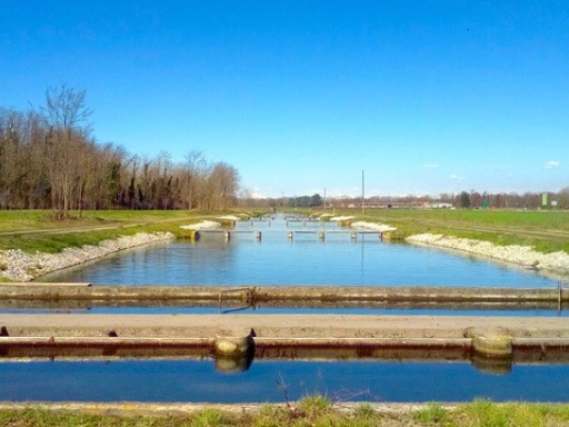 Generic representation of Researchers claim legal protection status for farmed fishes  