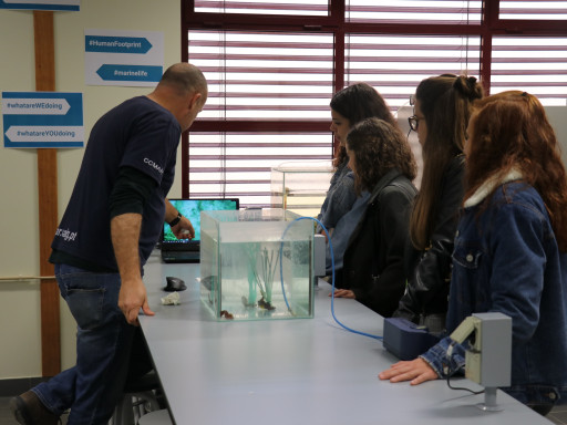 Generic representation of Open day at CCMAR