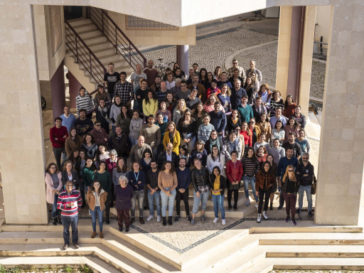 Generic representation of Winners of the "Aos olhos do CCMAR" contest announced