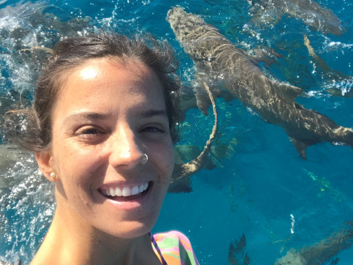 Generic representation of New on Board: Sofia Graça Aranha
