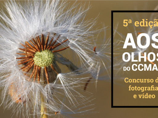 Generic representation of Aos Olhos do CCMAR (5th edition)