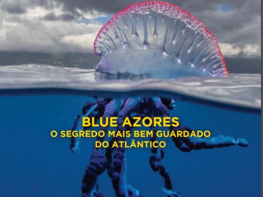 Generic representation of CCMAR researcher participates in the Blue Azores Expedition documentary