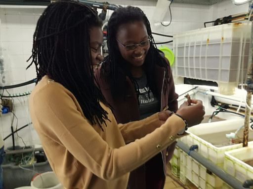 Generic representation of Girl Power: inspire two young researchers