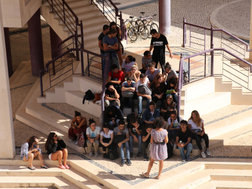 Generic representation of Marine Biology freshmen students visited CCMAR