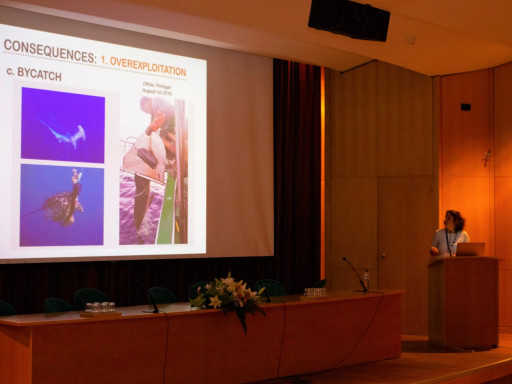 Generic representation of Ana Marçalo was invited as a keynote Speaker at SIEBM XX