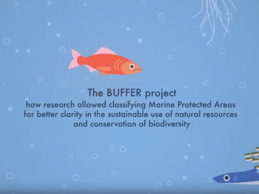 Generic representation of BUFFER project wins the 2nd BiodivERsA Prize for Excellence and Impact