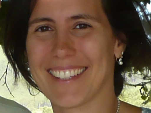 Generic representation of Congrats Doctor Ana Sousa Ramos Ramalho