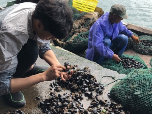 Generic representation of CCMAR researchers went to Shanghai to study mussels