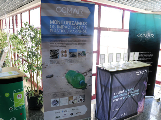 Generic representation of Campaign "Algarve + healthy, with - plastic" alerts to problems caused by plastics in the ecosystems of  Algarve