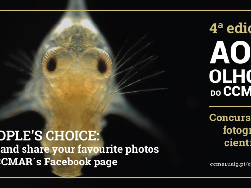 Generic representation of Aos Olhos do CCMAR - Vote until 4th March 3PM!