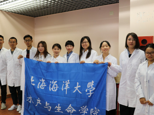 Generic representation of CCMAR recebe mais uma edição da Summer School da Universidade chinesa de SHOU