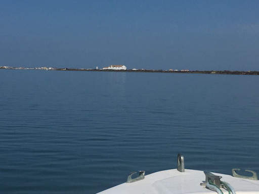 Generic representation of Ocean Sampling Day at CCMAR
