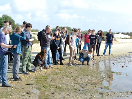 Generic representation of CCMAR promotes training for the University of Amsterdam students