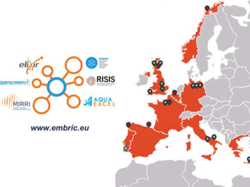 Generic representation of EMBRIC project launches its second Transnational Access Call on Marine Biotechnology