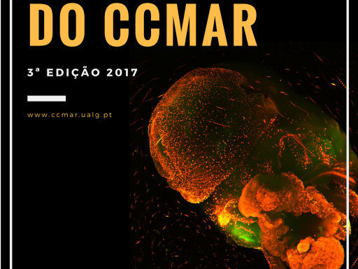 Generic representation of Concurso Aos Olhos do CCMAR 2017 - 3ª edição