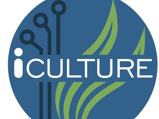 iCulture